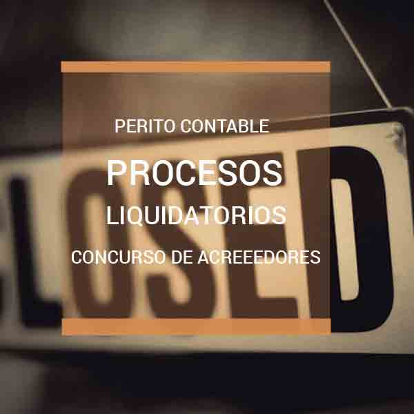 peritos Contables